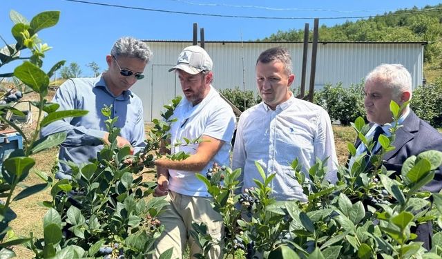Kaymakam Kaya’dan yaban Mersini üretim tesisine ziyaret