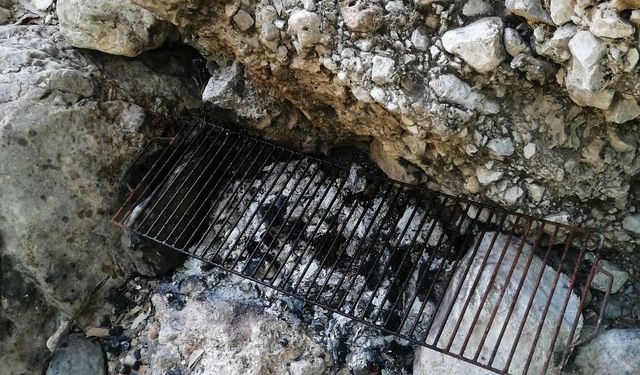 Mersin’de ormanda piknik yapan 5 kişiye ceza