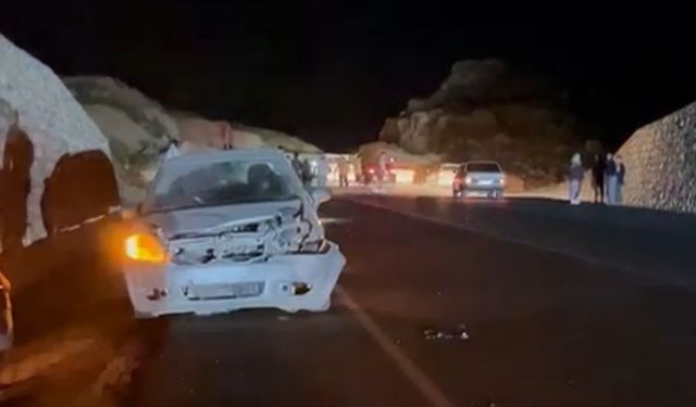 Mersin'de otomobil domuza çarptı