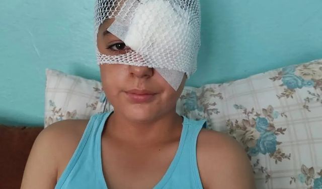 Şanlıurfa’da köpek saldırısından kaçan çocuğa otomobil çarptı