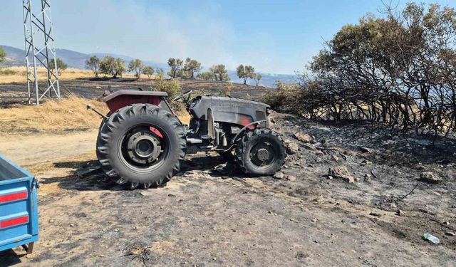 Şarköy’de orman yangınında araçlar küle döndü