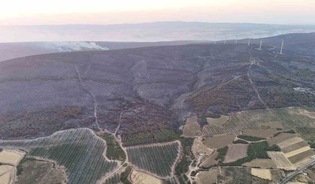 Şarköy’deki orman yangını kontrol altına alındı