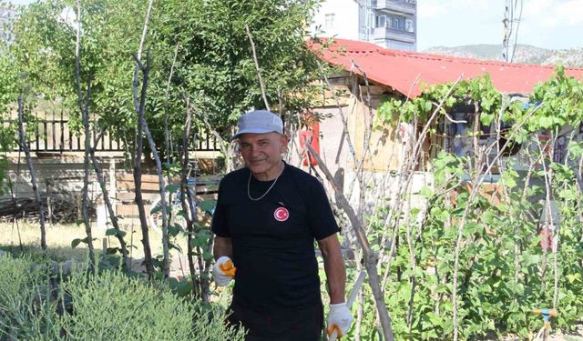 Şehir hayatından sıkıldı, mutluluğu köy hayatında buldu