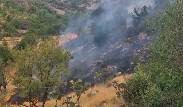Siirt’te çıkan yangında 2 dönüm arazi zarar gördü