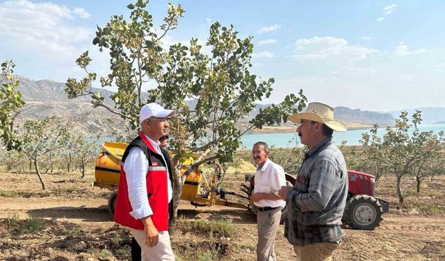 Siirt’te fıstık bahçelerinde aşırı sıcaklık alarmı