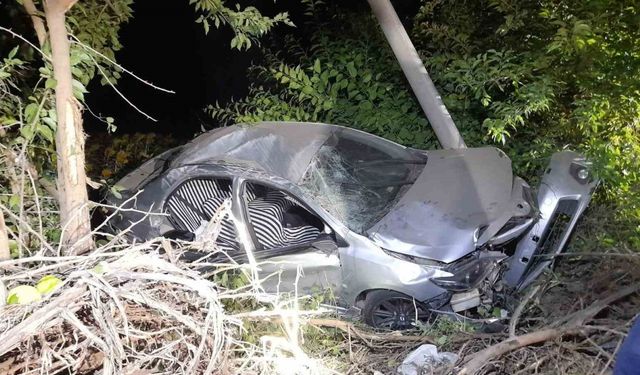 Tarlaya düşen otomobildeki 6 kişi yaralandı