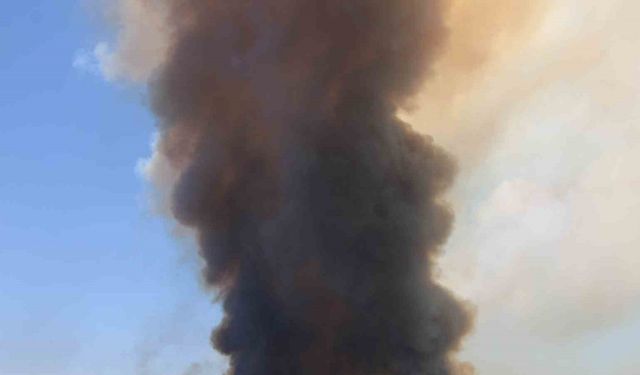 Tekirdağ’da başlayarak Çanakkale’ye ulaşan yangın yeniden alevlendi