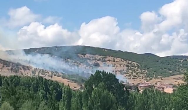 Tokat’taki yangında alevler yerleşim alanına ulaşmadan söndürüldü