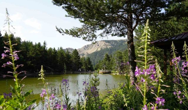 Tropikal sıcaklardan bunalanlar soluğu Limni Gölü’nde aldı