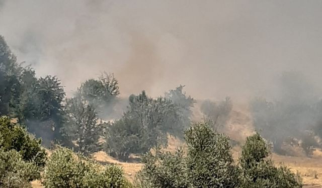 Tunceli’de çıkan yangın büyük ölçüde söndürüldü
