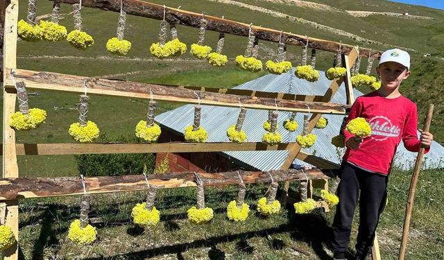 Yaylada çiçek satarak harçlıklarını kazanıyorlar