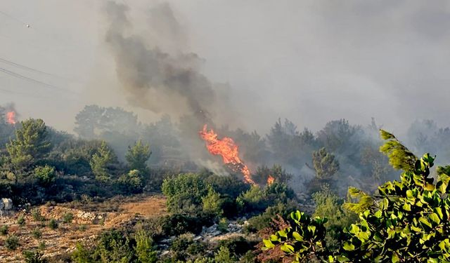 Mersin’de çevreciler orman yangınlarına karşı ses yükseltecek