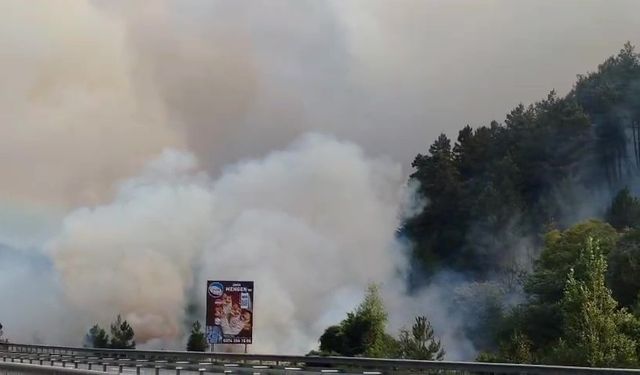 Bolu’daki orman yangını yayılıyor: 7 helikopterle havadan destek