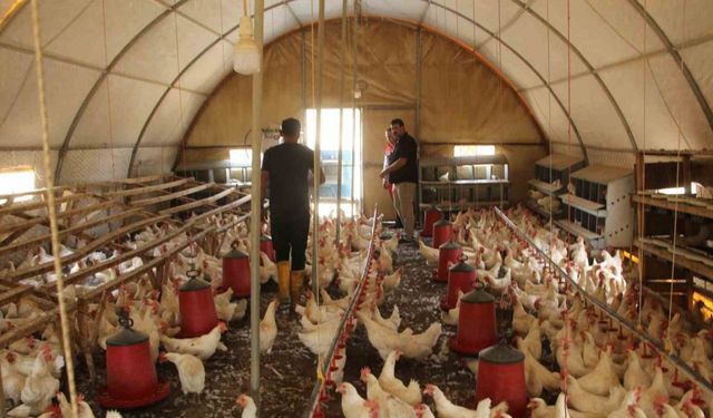 30 tavukla başladığı işletmesinde bin 700 tavuğa ulaştı