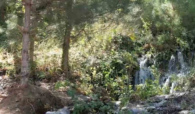 6.1 büyüklüğündeki deprem su kaynaklarının yerini değiştirdi