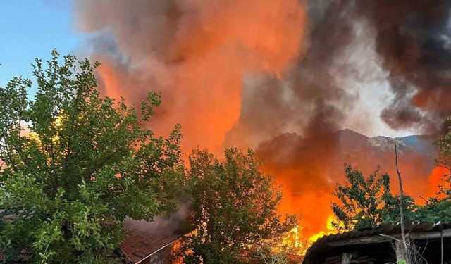 Ambarda başlayan yangın evleri kullanılamaz hale getirdi