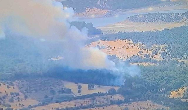 Ayvacık’ta ormanlık alanda yangına, müdahale devam ediyor