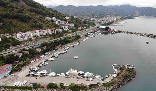 Balıkçılar 1 Eylül’ü iple çekiyor: ‘Umudumuz hamsi’