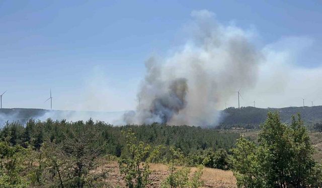 Çanakkale’de orman yangını