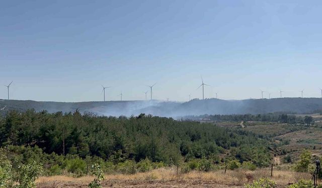 Çanakkale’deki orman yangını kontrol altında