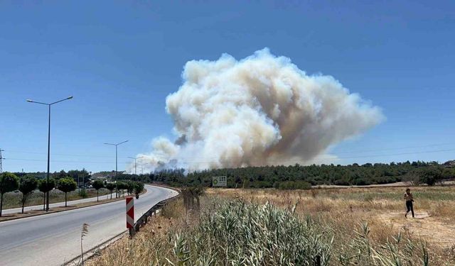 Çanakkale’deki yangında tedbir amaçlı Güzelyalı bölgesindeki vatandaşlar tahliye ediliyor