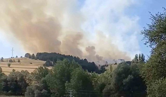 Çankırı’da orman yangını