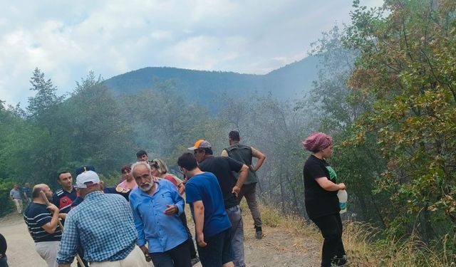 Çatalzeytin’de çıkan orman yangını kontrol altına alındı