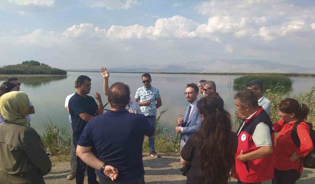 Eber ve Akşehir göllerine eylem planına yönelik çalışmalar sürüyor