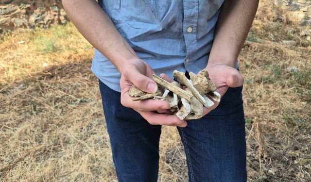 Ecdada saygısızlık: Kırımizade Şeyhinin mezarı talan edildi