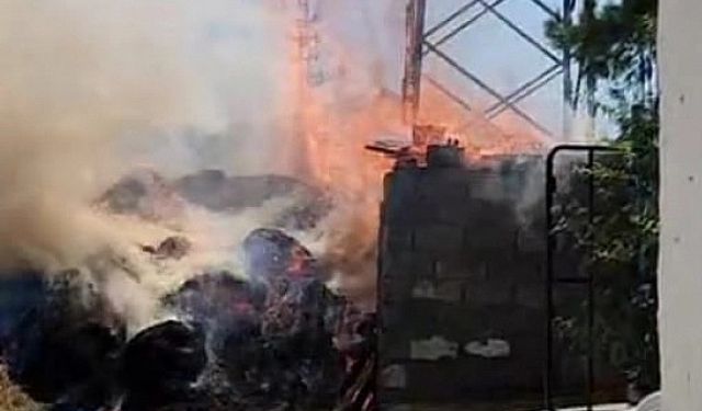 Elektrik kabloları odunlukta yangına neden oldu