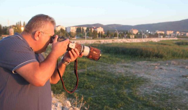 Fotoğraf tutkunu mali müşavir, kuş fotoğrafı için makinesini yanından ayırmıyor