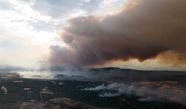 Gelibolu’da devam eden orman yangını dron ile görüntülendi