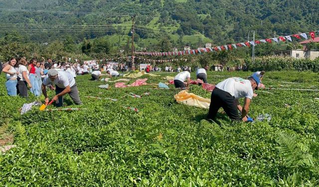 Güneyden Antep’in zılgıtı ve kuzeyden Artvin’in tulum sesi çaylıkta buluştu
