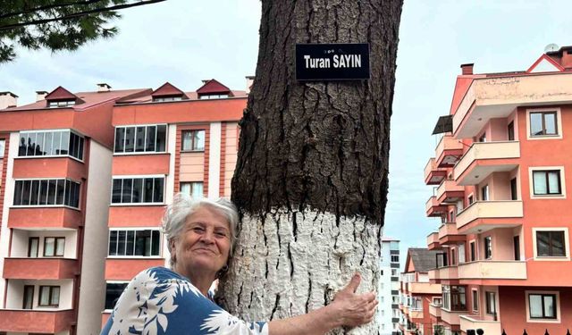 Hatıra ormanı değil site bahçesi