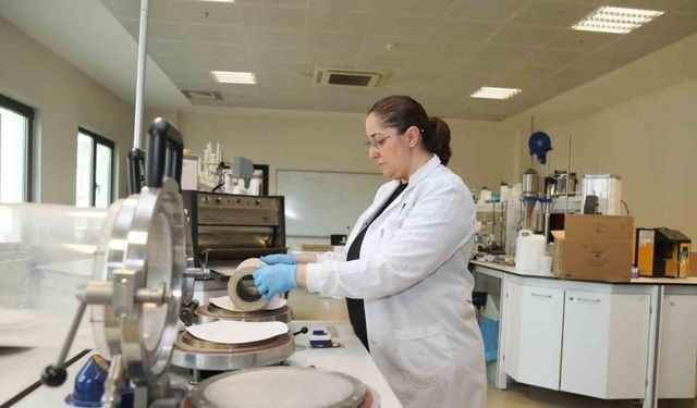 Kâğıt atıkları doğada çözünebilir saksıya dönüşecek