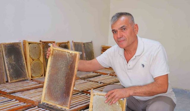 Kahramanmaraş’ta bu yıl 10 bin tonunun üzerinde bal rekoltesi bekleniyor