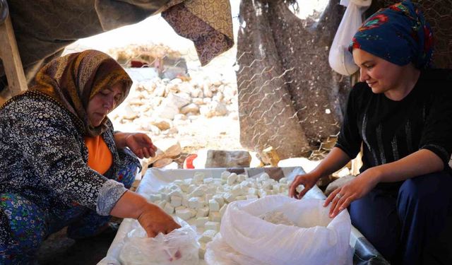 Kahramanmaraş’ta yaylacıların peynir ve çökelek üretimi sürüyor