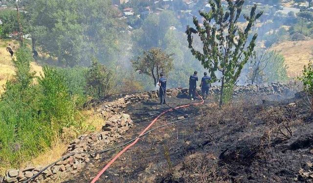 Kale bağlarında çıkan yangını korkuttu