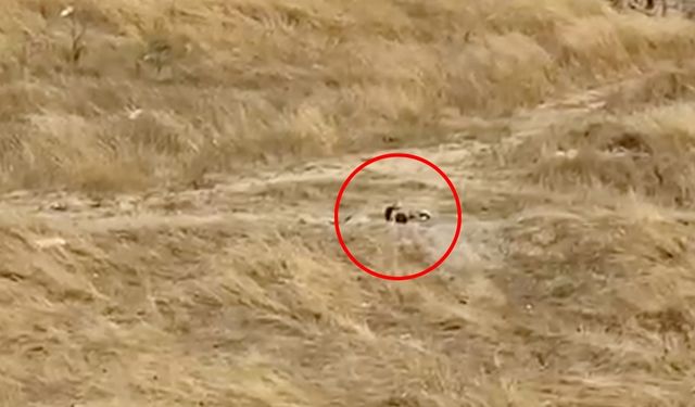 Kapaklı’da güpegündüz boş alanda uygunsuz görüntülere tepki