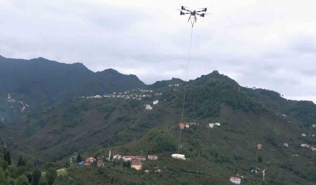 Karadenizli fındık üreticilerinin imdadına dron yetişti