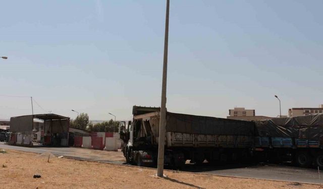 Kardeşleri hayattan koparan kaza