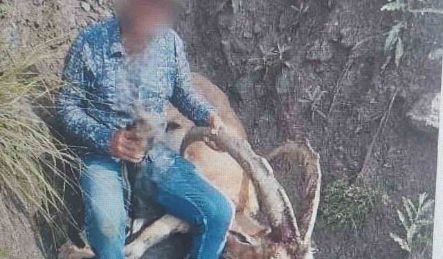 Kars’ta 1 kişi yaban keçisi avladı: 650 bin lira ceza ödedi