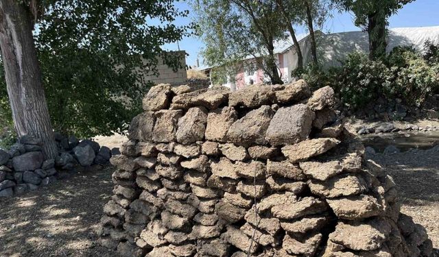 Kars’ta köylülerin kışlık tezek mesaisi başladı