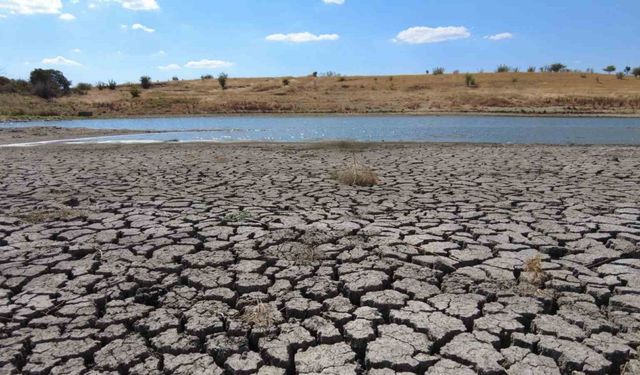 Kuruyan gölette derin çatlaklar oluştu