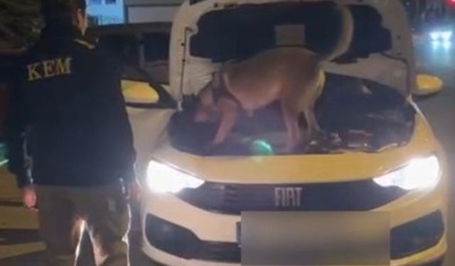 Kütahya’da 3,5 kilo kokain ele geçirildi, şüpheli 2 kişi tutuklandı