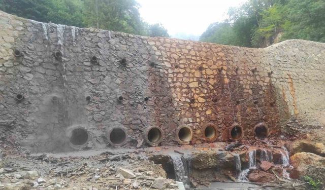 Maden atıkları dereyi kirletiyor, doğal yaşamı tehdit ediyor