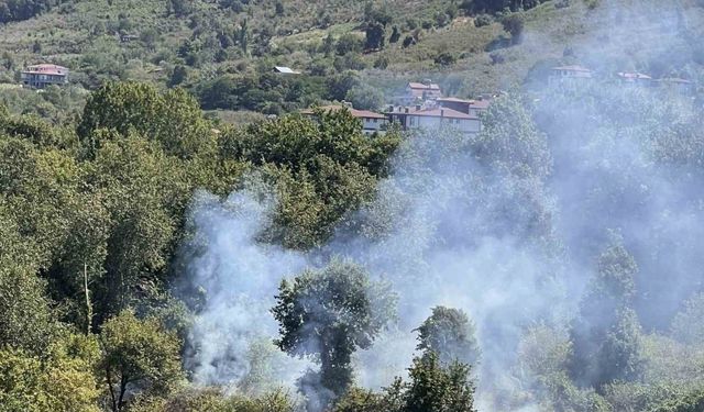 Ordu’da bahçe temizliği yangına yol açtı