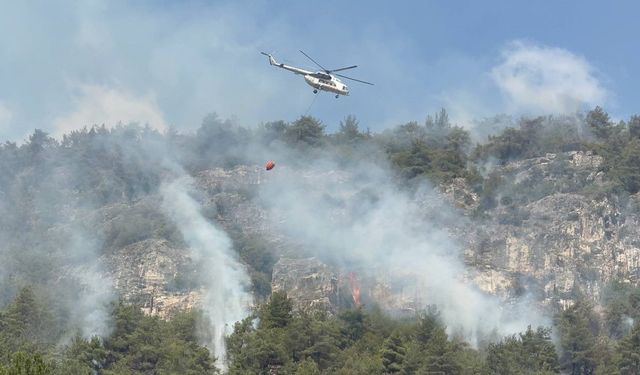 Orman yangınında alevler yeniden etkili olmaya başladı