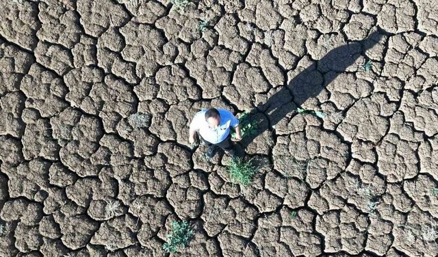 Sular çekildi, kuraklık göleti çorak araziye dönüştürdü