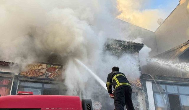 Tatvan’da yangın korkuttu